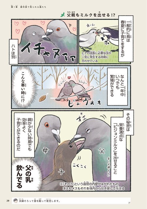 鳥のいる生活 全8種類 Amazon.co.jp: ☆リーメント ぷちサンプルシリーズ 鳥のいる生活