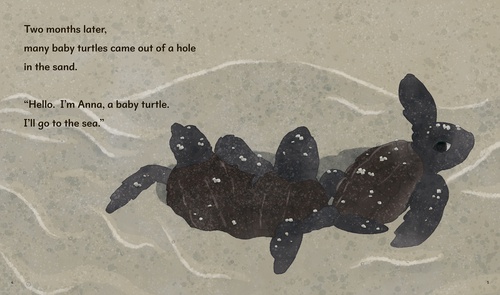 THE SEA TURTLE ウミガメ – 丸善ジュンク堂書店ネットストア