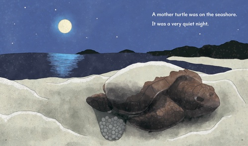 THE SEA TURTLE ウミガメ – 丸善ジュンク堂書店ネットストア