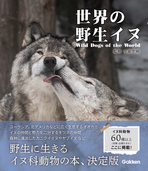 世界の野生イヌ – 丸善ジュンク堂書店ネットストア