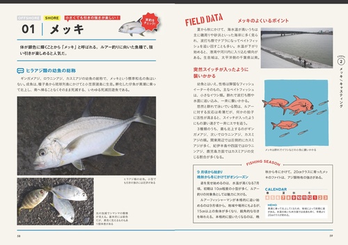 海のルアー釣り 完全BOOK 改訂版 基礎と上達がまるわかり! プロが
