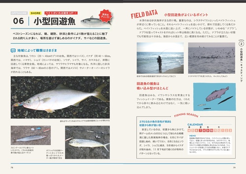 海のルアー釣り 完全BOOK 改訂版 基礎と上達がまるわかり! プロが