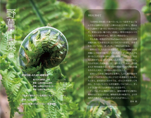 野草・山菜・きのこ図鑑 – 丸善ジュンク堂書店ネットストア