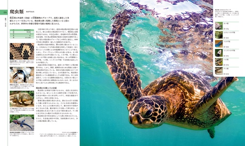 地球博物学大図鑑 新訂版 Amazon.co.jp: 地球博物学大図鑑 新訂版 eBook : デイヴィッド