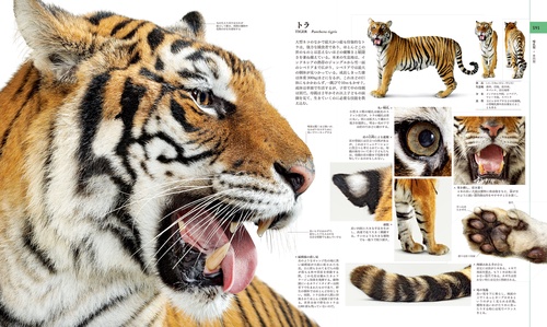 地球博物学大図鑑 新訂版 Amazon.co.jp: 地球博物学大図鑑 新訂版 eBook : デイヴィッド