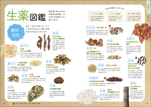 基本を学んで心身を整える！ 東洋医学のやさしい教科書 – 丸善ジュンク