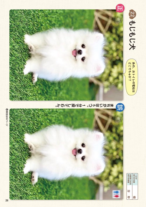 とても珍しい　仔犬の伊万里 犬用おもちゃ 犬雅 和食ラテックス 伊勢えび | ペティオ オンライン