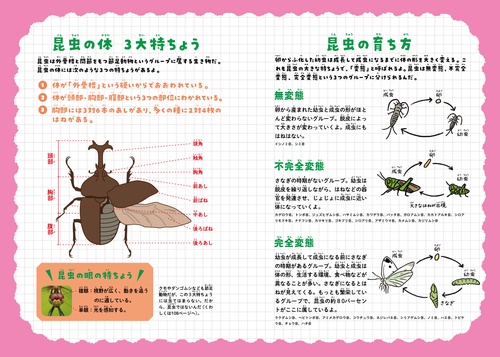 昆虫No．1図鑑 – 丸善ジュンク堂書店ネットストア