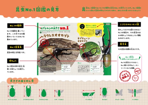 昆虫No．1図鑑 – 丸善ジュンク堂書店ネットストア