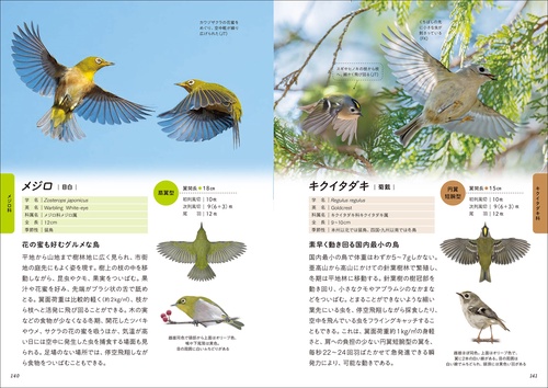 華麗なる野鳥飛翔図鑑 – 丸善ジュンク堂書店ネットストア