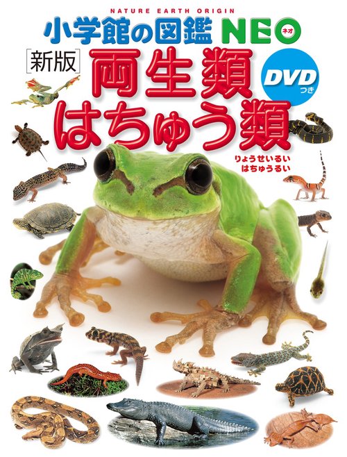 食べもの時鑑　初版 Amazon.co.jp: 食べもの時鑑 : 本