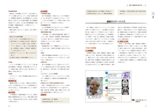 治療方針がみえてくる犬と猫の腫瘍診療 – 丸善ジュンク堂書店ネットストア
