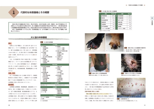 治療方針がみえてくる犬と猫の腫瘍診療 – 丸善ジュンク堂書店ネットストア