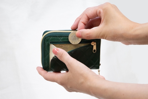 【仕事運・財運UP】10mm/18cm 金運を引き寄せる Petit Wallet Green – 丸善ジュンク堂書店ネットストア