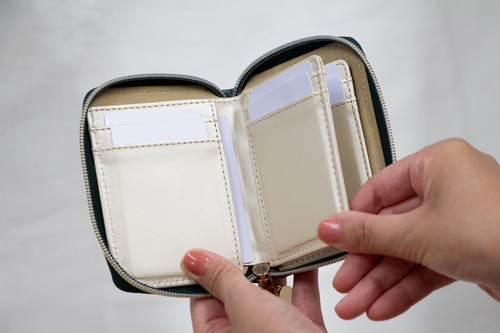 金運を引き寄せる Petit Wallet Green – 丸善ジュンク堂書店ネットストア