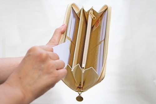 金運を引き寄せる長財布 Luminous – 丸善ジュンク堂書店ネットストア