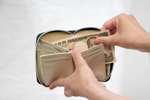 金運を引き寄せる Petit Wallet Green – 丸善ジュンク堂書店ネットストア