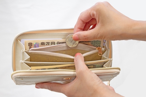 金運を引き寄せる長財布 Luminous – 丸善ジュンク堂書店ネットストア