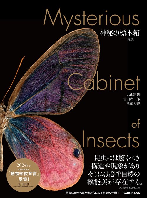 神秘の標本箱 ‐昆虫‐ – 丸善ジュンク堂書店ネットストア