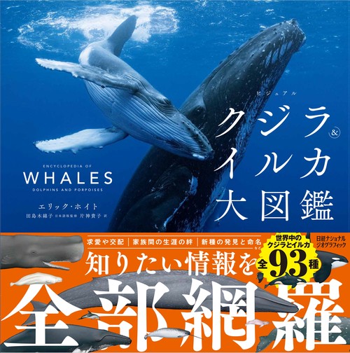 k*o様 くじら・いるか　骨　鯨　イルカ　4点セット ビジュアル クジラ＆イルカ大図鑑 – 丸善ジュンク堂書店ネットストア