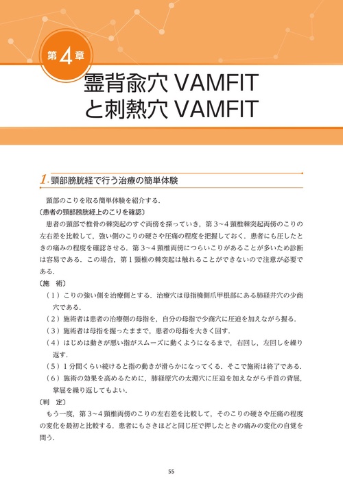 新版 経絡系統治療システム〈VAMFIT〉 ―だれでもできる経絡的治療