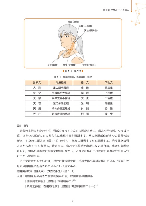 新版 経絡系統治療システム〈VAMFIT〉 ―だれでもできる経絡的治療