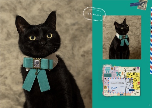 ねこくろ Amazon.co.jp: くろねこクロネ : SANTAN: 本