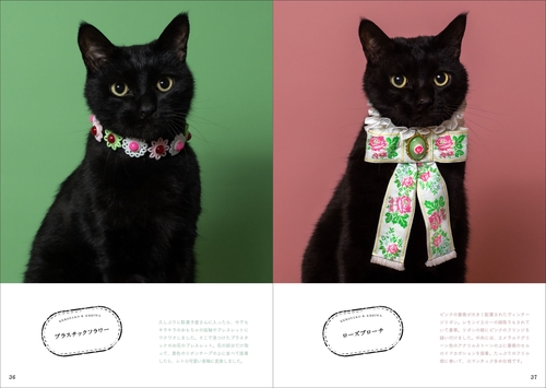 黒猫と首輪 – 丸善ジュンク堂書店ネットストア