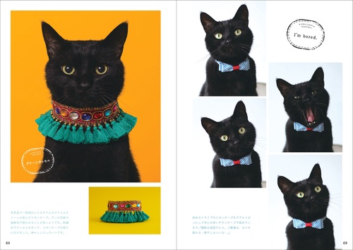 黒猫と首輪 – 丸善ジュンク堂書店ネットストア