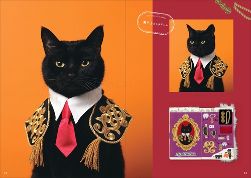 黒猫さま専用 Amazon.co.jp: プラッツ 1/12 黒猫(座り) : ホビー