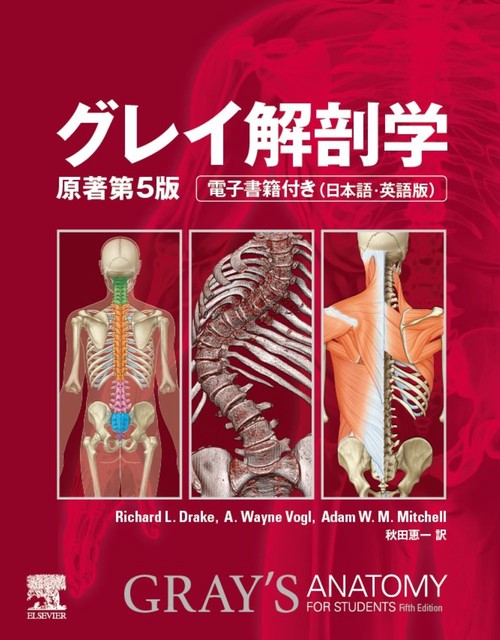 グレイ解剖学 グレイ解剖学 原著第5版 – 丸善ジュンク堂書店ネットストア