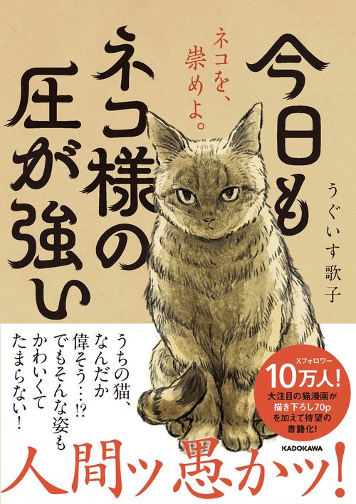 今日もネコ様の圧が強い – 丸善ジュンク堂書店ネットストア