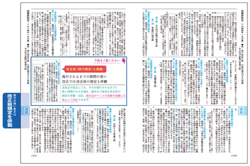 QD LN 新品未使用 六法全書 令和6年 DH XE QD LN 新品未使用 六法全書 令和6年 DH XE 本