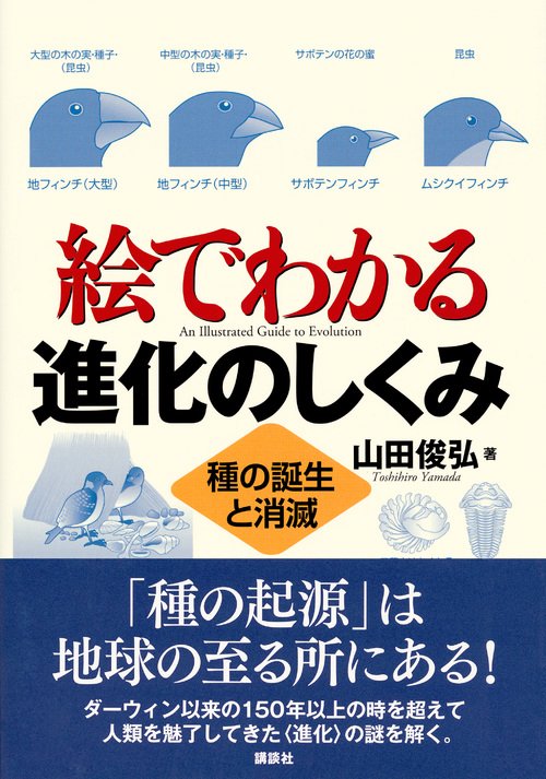 絵でわかる進化のしくみ 種の誕生と消滅 – 丸善ジュンク堂書店ネットストア