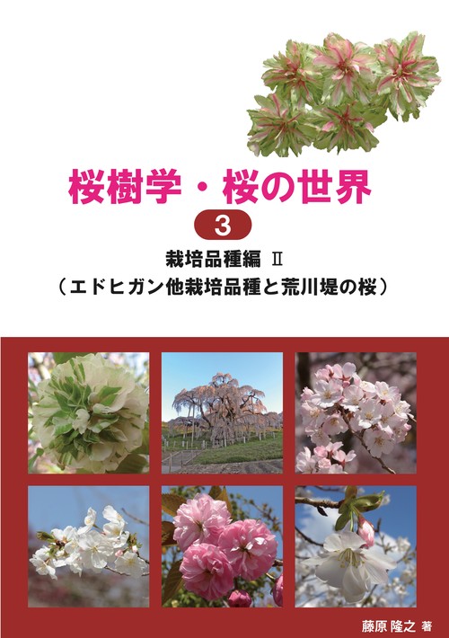 桜樹学・桜の世界 3 栽培品種編Ⅱ（エドヒガン他栽培品種と荒川堤の桜