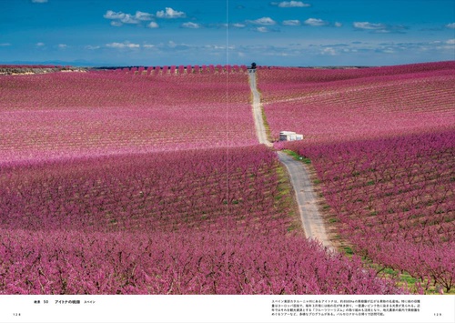 死ぬまでに行きたい！世界の絶景 新世界編 – 丸善ジュンク堂書店ネット