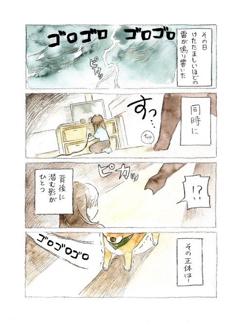ぽんちゃんページ 柴犬ぽんちゃん、今日もわが道を行く – 丸善ジュンク堂書店ネットストア