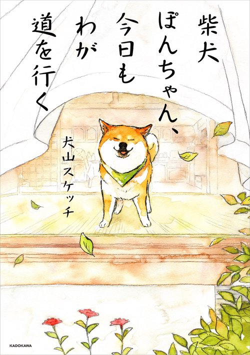 柴犬ぽんちゃん、今日もわが道を行く – 丸善ジュンク堂書店ネットストア