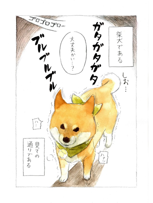 柴犬ぽんちゃん、今日もわが道を行く – 丸善ジュンク堂書店ネットストア