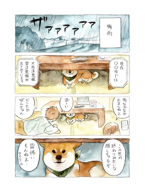 柴犬ぽんちゃん、今日もわが道を行く – 丸善ジュンク堂書店ネットストア