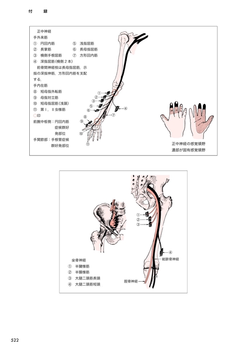 基礎運動学第7版 – 丸善ジュンク堂書店ネットストア