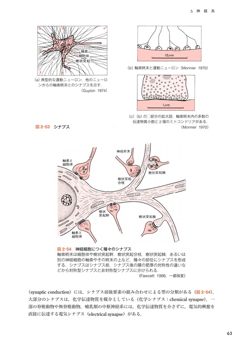 （新品）基礎運動学 基礎運動学 第6版/医歯薬出版株式会社