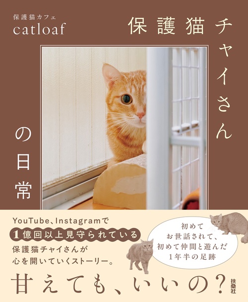 ちゃいさん専用
収納付きベットフレーム(セミダブル) 営業終了後のチャイさん界隈。｜Rescue Cats After Dark - YouTube