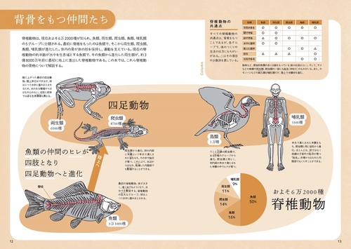 動物の骨に繊細な絵 はたのさとし Satoshi Hatano on X: 