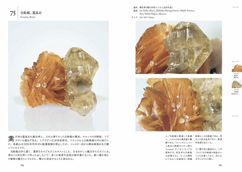 美しい共生鉱物の図鑑 – 丸善ジュンク堂書店ネットストア