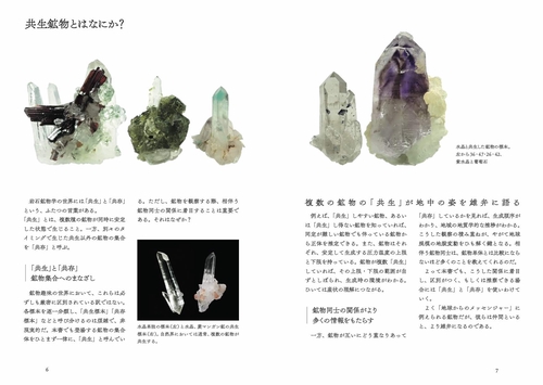 美しい共生鉱物の図鑑 – 丸善ジュンク堂書店ネットストア