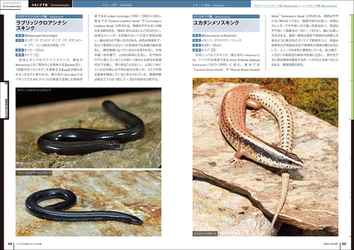 トカゲ大図鑑 スキンク下目編 – 丸善ジュンク堂書店ネットストア
