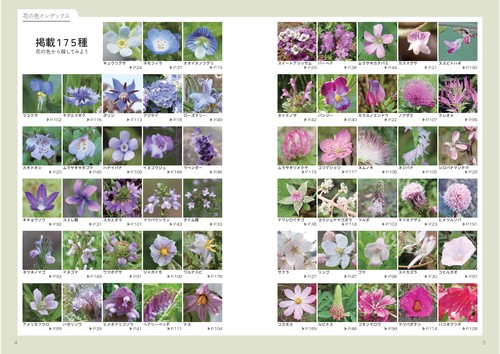 虫がよろこぶ花図鑑 – 丸善ジュンク堂書店ネットストア