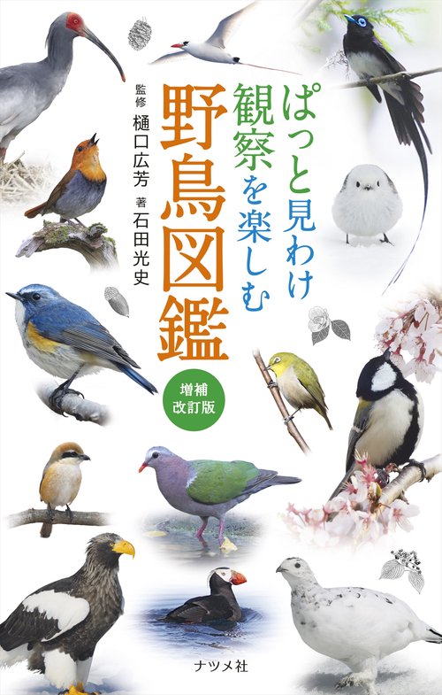 ぱっと見わけ 観察を楽しむ 野鳥図鑑【増補改訂版】 – 丸善ジュンク堂