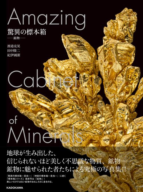 驚異の標本箱 ‐鉱物‐ – 丸善ジュンク堂書店ネットストア